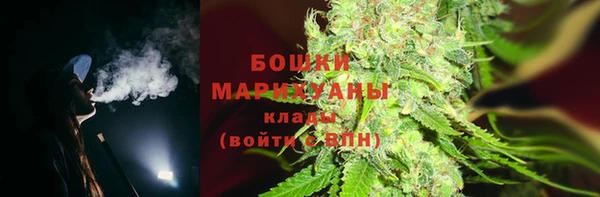дживик Елизово