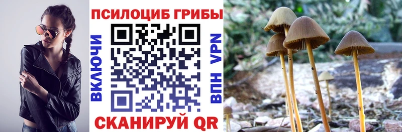 Галлюциногенные грибы Psilocybine cubensis Купить где Волоколамск